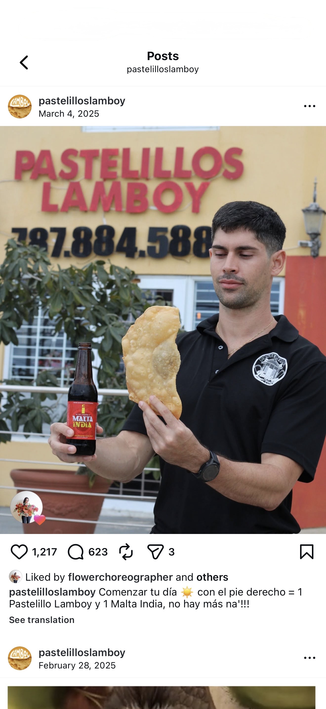 Pastelillos Lamboy